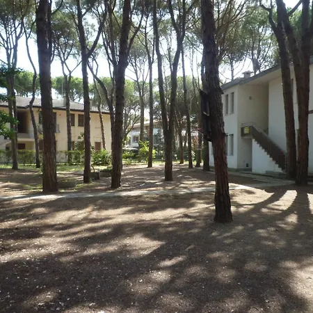 Apartament In 25701
